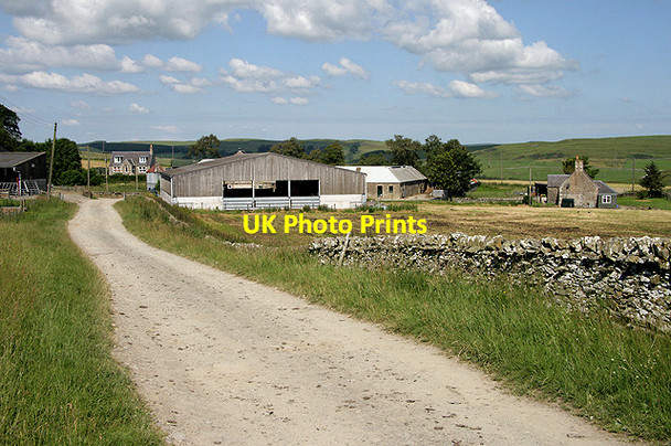 Photo 6"x4" A road at Whitchesters Farm Branxholme c2011