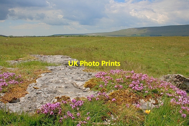 Photo 6"x4" Rock Outcrop, Sleights Pasture Ribble Head\/SD7779 c2011