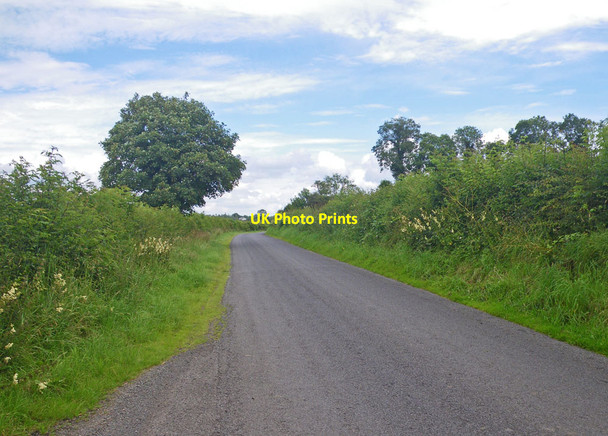 Photo 6"x4" Road leaving Crom Estate for points east Newtownbutler c2011
