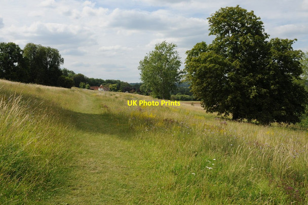 Photo 6"x4" Footpath near Culham Court Henley-on-Thames c2011