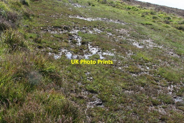 Photo 6"x4" Summer Flowing on North Mendip Hills Bourne\/ST4859 c2011