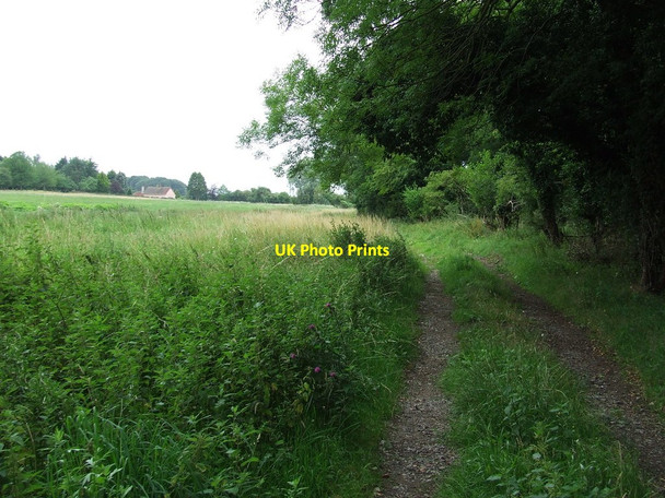 Photo 6"x4" Heater Plantation Great Hockham c2011