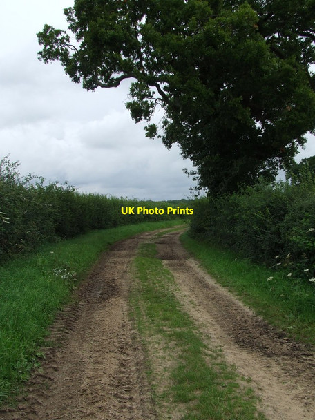 Photo 6"x4" Bend In Track Great Hockham c2011
