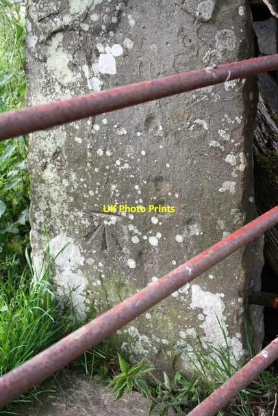 Photo 6"x4" Benchmark on gatepost near entrance to Reedmere House Redmire\/SE0491 c2011