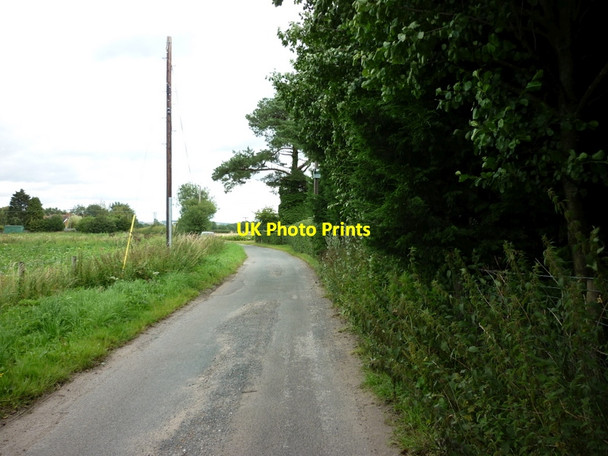 Photo 6"x4" A minor road near Fir Tree Cottage Allerthorpe c2011