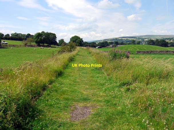 Photo 6"x4" Tees Valley Railway Path near Laithkirk Laithkirk c2011