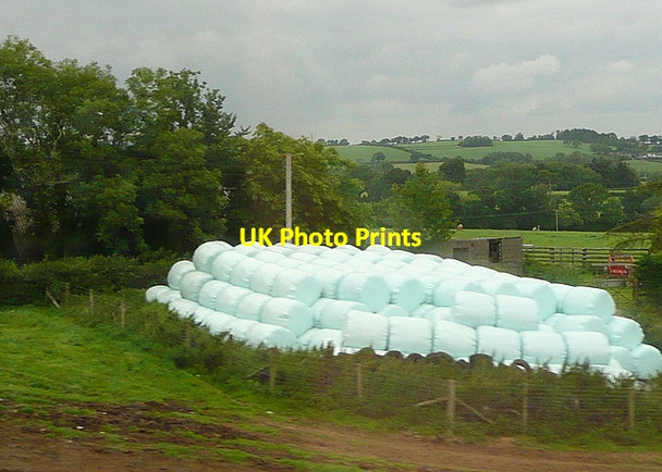 Photo 6"x4" Silage at Lower Ashridge Belsford c2011