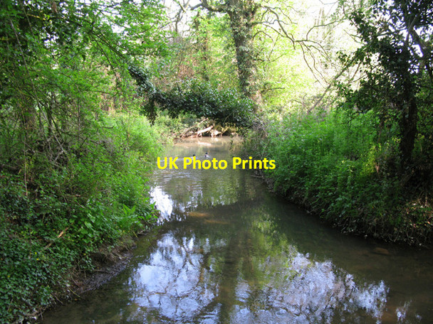 Photo 6"x4" View of a stream near Little Clanfield Mill Little Clanfield c2011