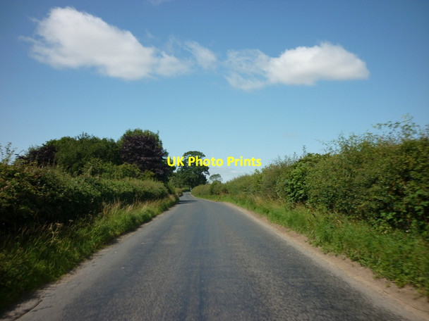Photo 6"x4" Ox Moor Lane towards Hunsingore Cattal c2011