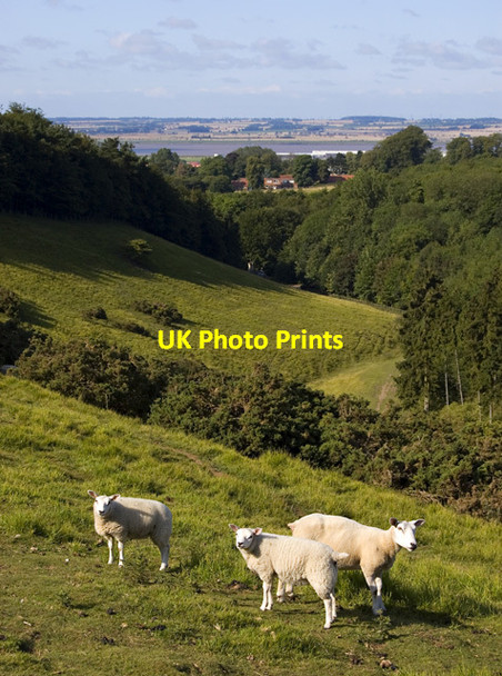 Photo 6"x4" Welton Dale Welton\/SE9627 c2011