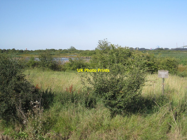Photo 6"x4" Rosper Road Pools Nature Reserve Immingham c2011