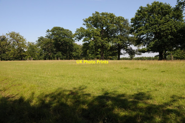 Photo 6"x4" Parkland at Woburn Church End\/SP9832 c2011