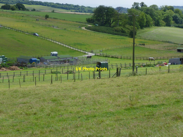 Photo 6"x4" Paddocks at Myrtle Grove Farm Patching c2011