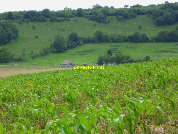 Photo 6"x4" Farm buildings and crops in front of Barpham Hill Burpham\/TQ0408 c2011