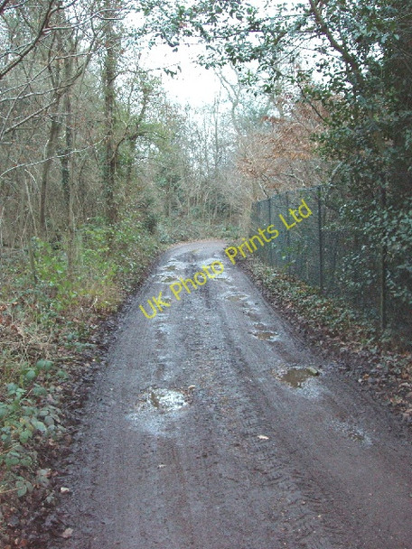 Photo 6"x4" Marish Lane, near Denham Denham Green c2006