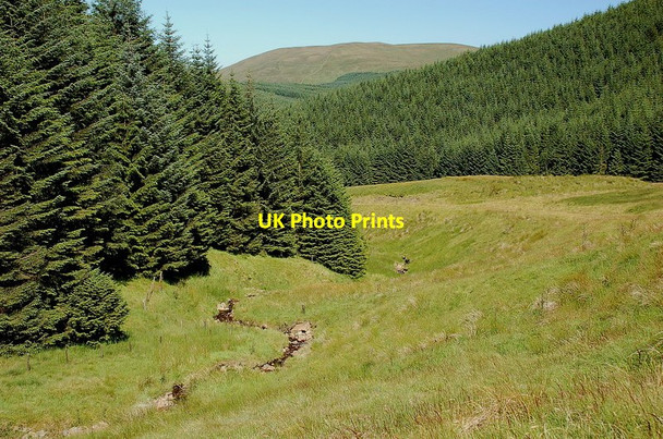 Photo 6"x4" Entertrona Burn above Over Phawhope Entertrona Burn c2011