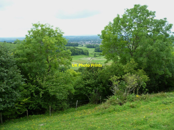 Photo 6"x4" Paddocks below Chantry Hill Sullington c2011