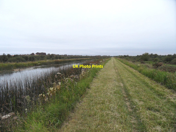 Photo 6"x4" Grand Canal South of Edenderry, Co. Offaly Edenderry c2011