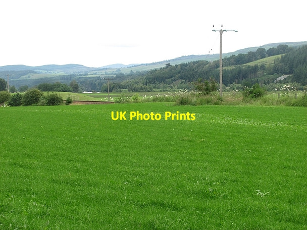 Photo 6"x4" Grass field, Dalmarnock Dalguise c2011