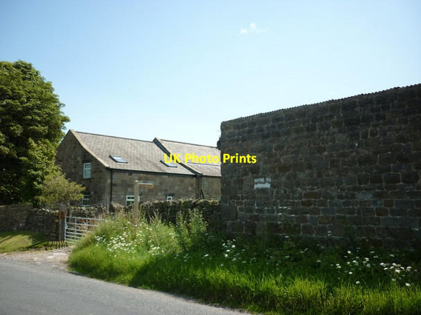 Photo 6"x4" A bridleway to Rabbit Hill Eavestone c2011