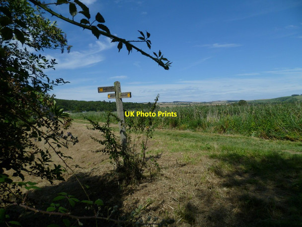 Photo 6"x4" Footpath sign on the River Arun Arundel c2011
