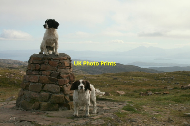 Photo 6"x4" Spaniels at 2000 feet plus Loch Dithreabn na Cuileige c2011