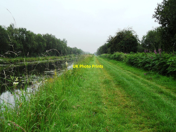 Photo 6"x4" Grand Canal in Gorteen, Co. Offaly Daingean c2011 P1