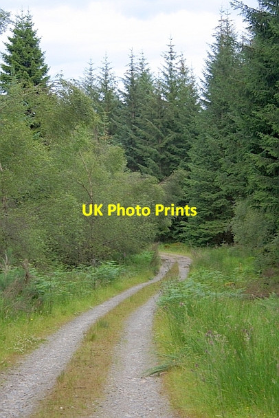 Photo 6"x4" Track near Garbeg Hill Kirkton\/NN5100 c2011