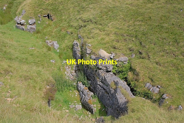Photo 6"x4" Penyghent Long Churn New Houses\/SD8073 c2011