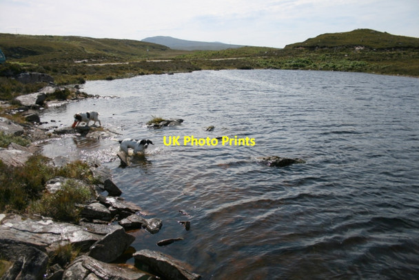 Photo 6"x4" Cooling off in a lochan Cuaig c2011
