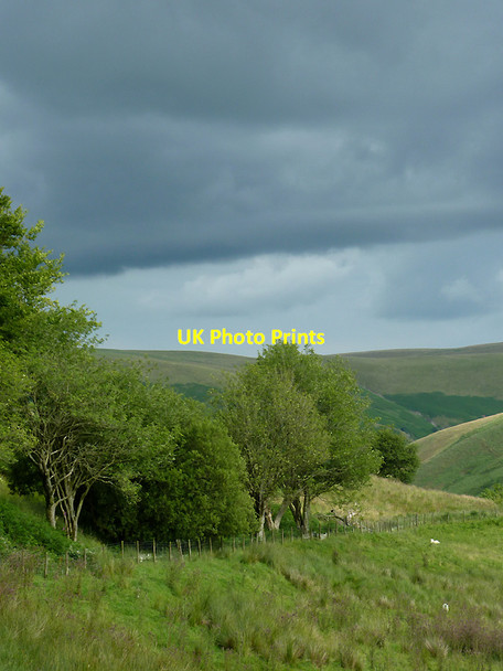 Photo 6"x4" Cwm Doethie Fawr, Ceredigion Gouallt c2011