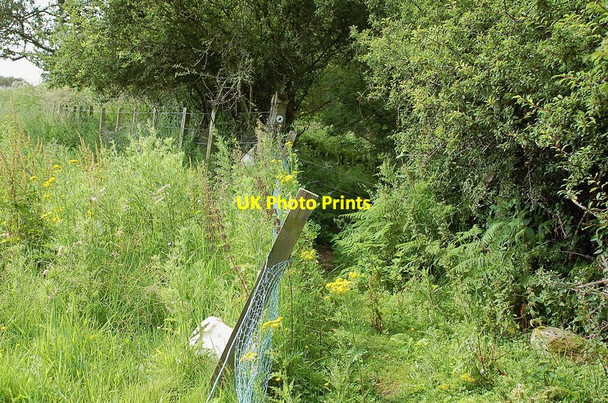 Photo 6"x4" Path to Borthwick on Birky Side Borthwick c2011