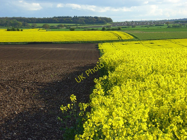 Photo 6"x4" Farmland, Woodcote Ipsden c2008
