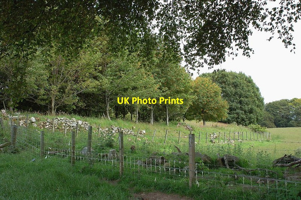 Photo 6"x4" Roman fort, Longfaugh Blackcastle\/NT4159 c2011