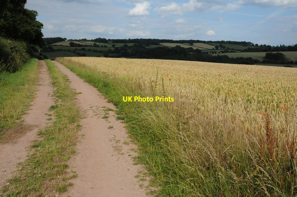 Photo 6"x4" Track in a field at Brockhampton Brockhampton\/SO5931 c2011