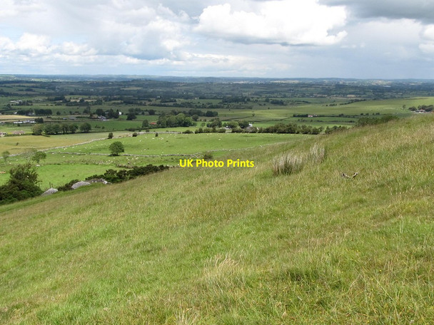 Photo 6"x4" Sheep pastures below Carnbane East Drumone c2011