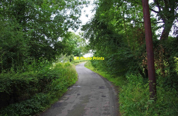 Photo 6"x4" Minor road near Bournes Green Bournes Green\/SO9174 c2011