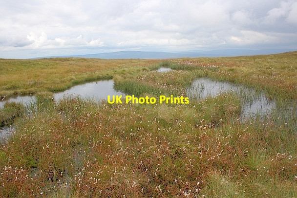 Photo 6"x4" Marsh, Pen-y-Ghent Summit Brackenbottom c2011