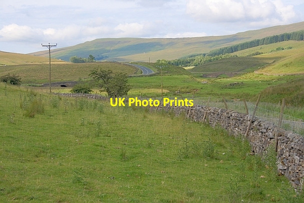 Photo 6"x4" Field near Snaizeholme Bridge Appersett c2011