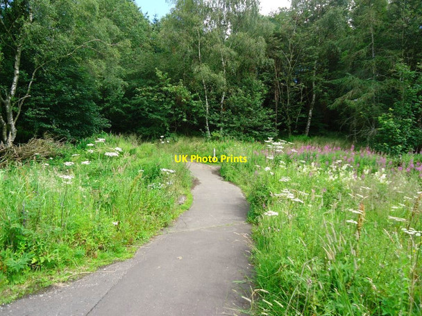 Photo 6"x4" Cumbernauld, Westfield Woods Blackwood\/NS7274 c2011