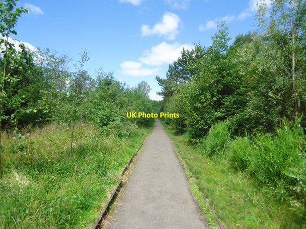 Photo 6"x4" Broadwood Loch, nature reserve Blackwood\/NS7274 c2011