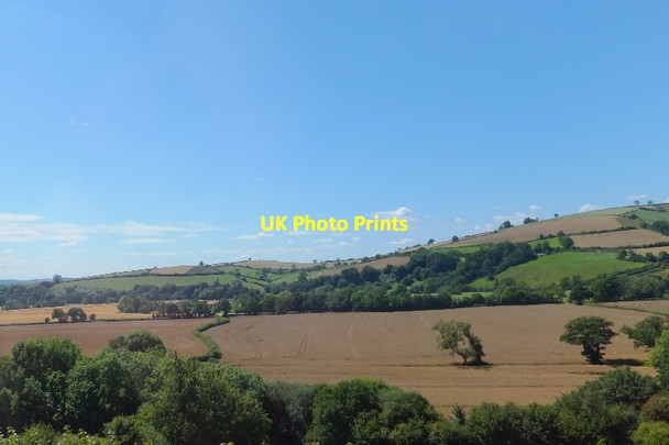 Photo 6"x4" Fields near Jennys Portion Chitterley c2011