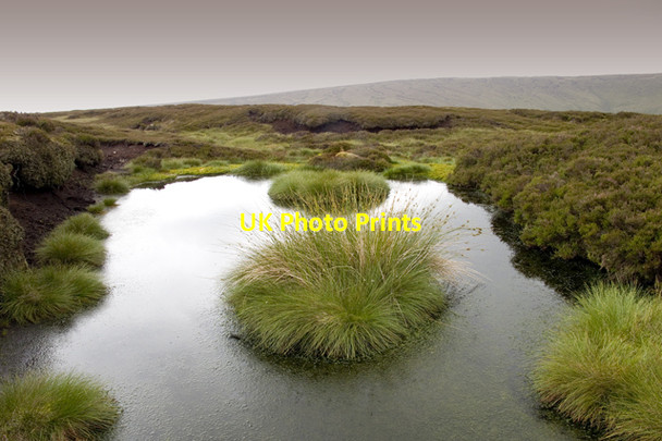 Photo 6"x4" Small tarn on Winny Bank Bleasdale c2011