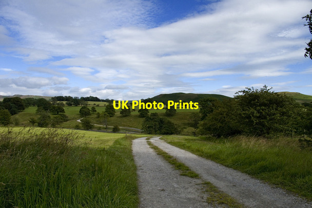 Photo 6"x4" Track to Flasby Moor Side Flasby c2011