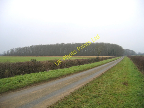 Photo 6"x4" The Jubilee wood, Ashton, Peterborough Ashton\/TF1005 c2006