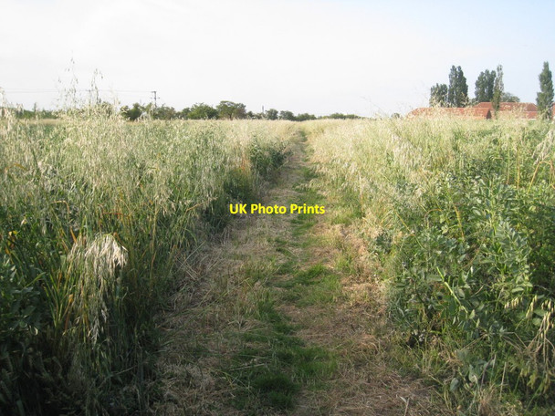 Photo 6"x4" The footpath to Healing Great Coates c2011