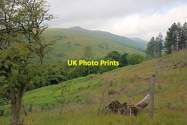 Photo 6"x4" View up the Woodlands Valley Edale End c2011