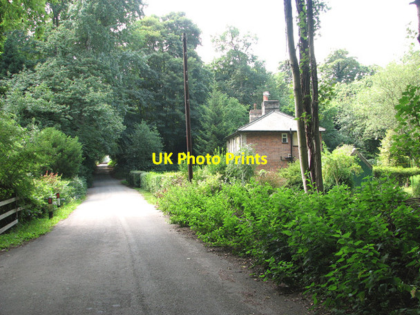 Photo 6"x4" Cottages in Pound Lane, Thorpe St Andrew Thorpe End c2011
