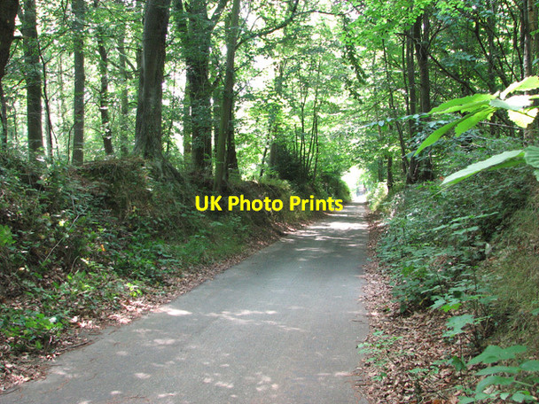 Photo 6"x4" Pound Lane past Brown's Plantation, Thorpe St Andrew Thorpe End c2011