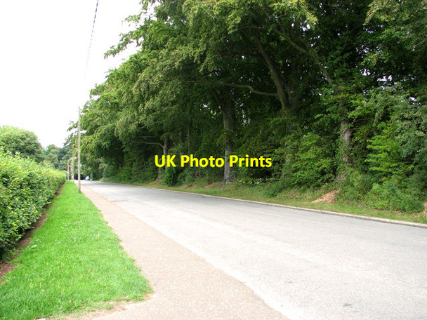 Photo 6"x4" Pound Lane approaching Belmore Plantation, Thorpe St Andrew Thorpe St Andrew c2011
